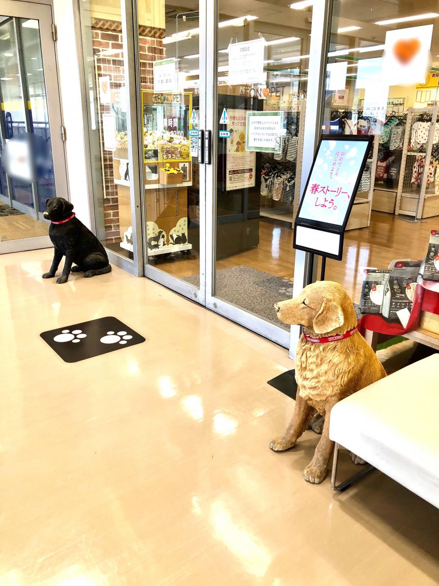 マーケットピア スポーツオーソリティ 熱田店 名古屋市熱田区 周辺施設 口コミ 写真 動画