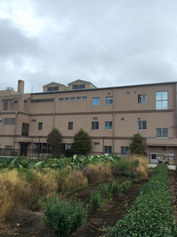 スポランド 福生地域体育館 福生市 周辺施設 口コミ 写真 動画