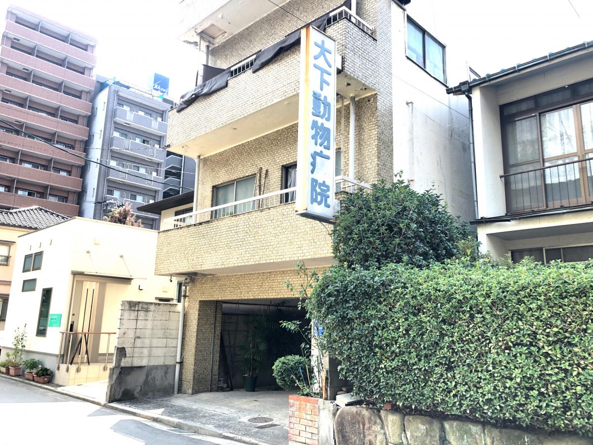 ドッグメディカル 大下動物病院 広島市西区横川町