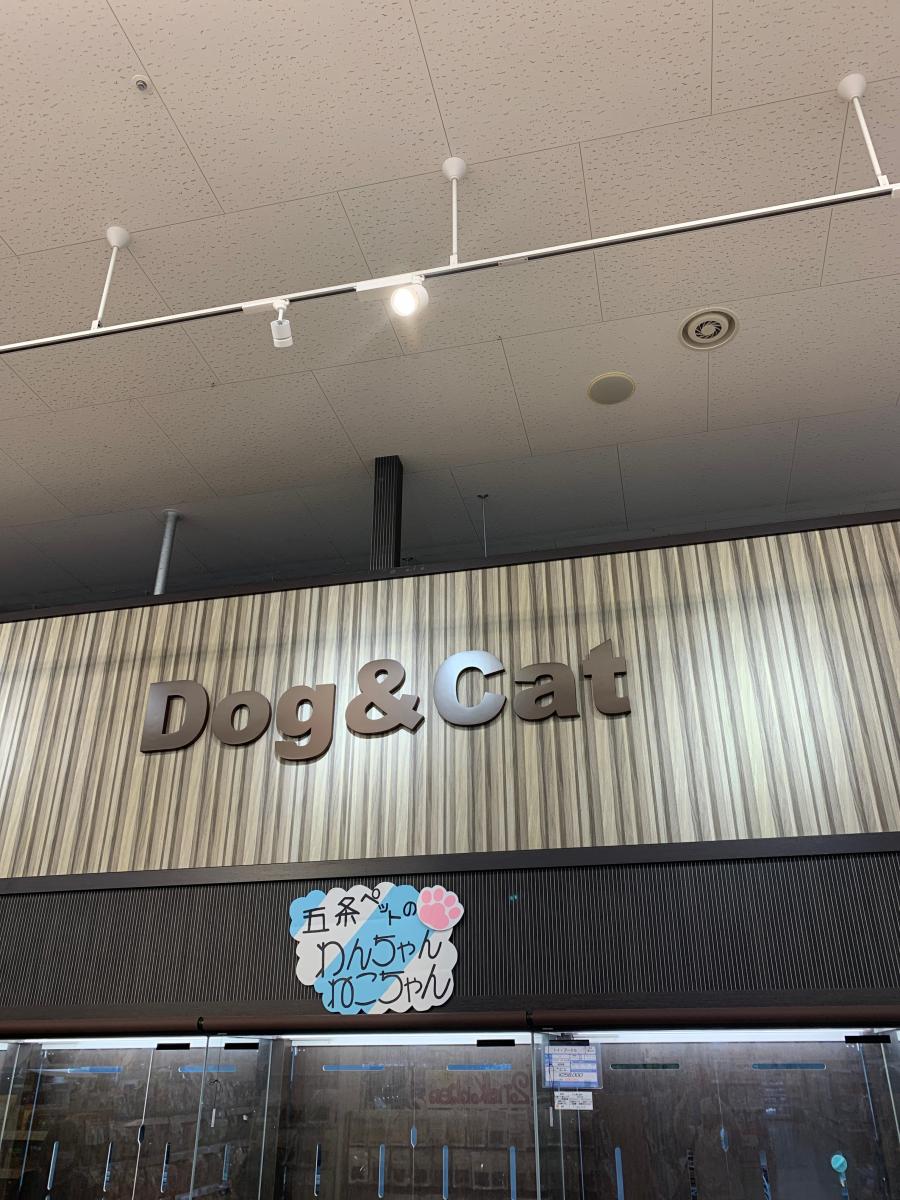 マーケットピア 五条ペットナフコ小倉南店 北九州市小倉南区上葛原