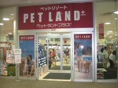 マーケットピア 札幌市のペットショップ一覧 ホームメイト