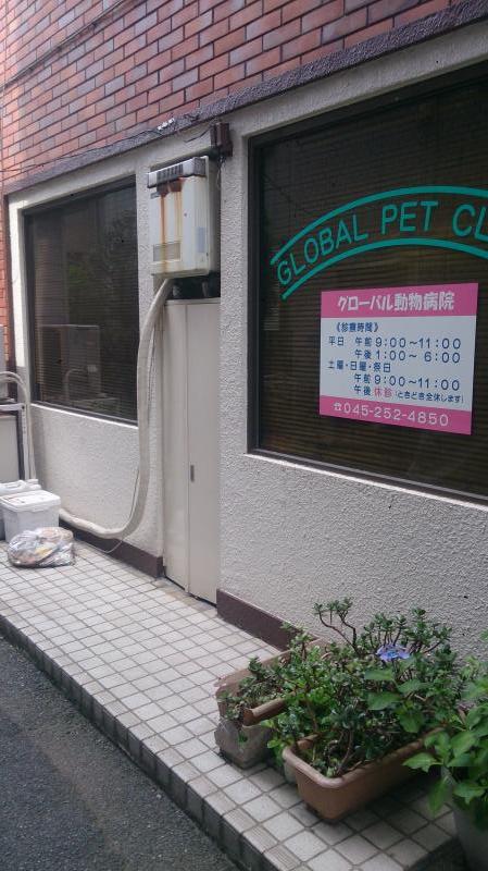 ドッグメディカル グローバル動物病院 横浜市南区真金町