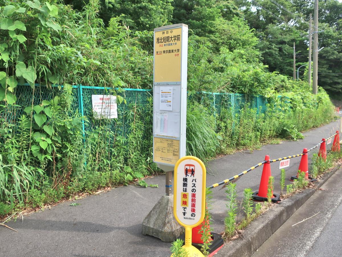 ユキサキナビ 神奈川中央交通 湘北短期大学前 バス停留所 厚木市温水