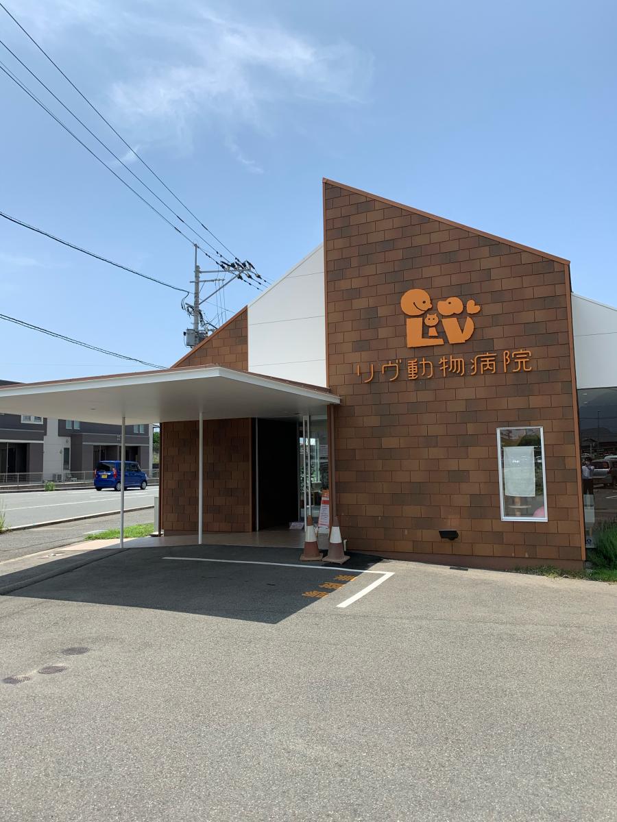ドッグメディカル リヴ動物病院 糟屋郡須惠町旅石 ドッグメディカル リヴ動物病院 糟屋郡須惠町旅石