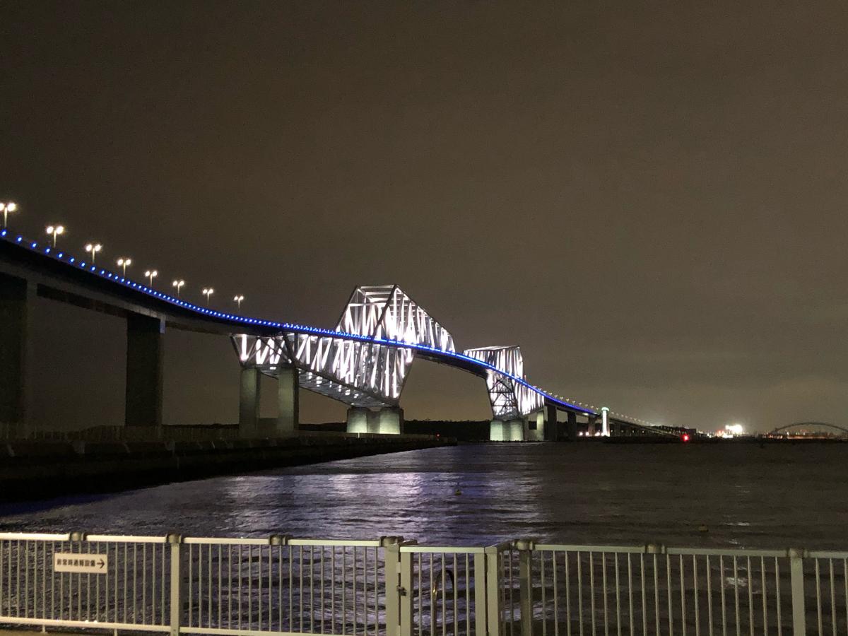 旅探 たびたん 東京ゲートブリッジ