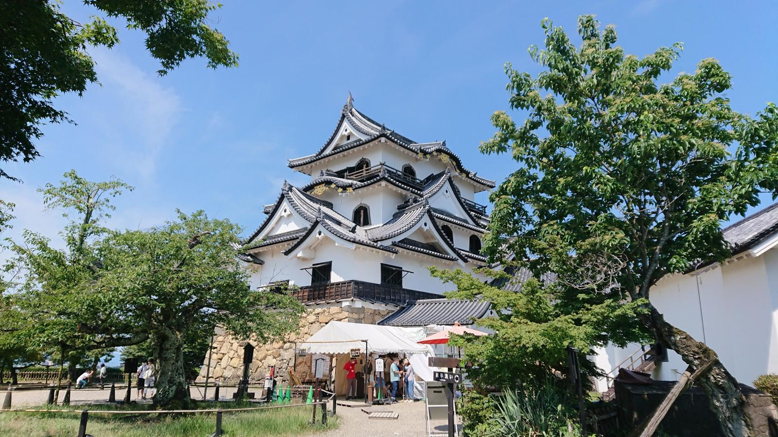 刀剣ワールド 城 彦根城 金亀城