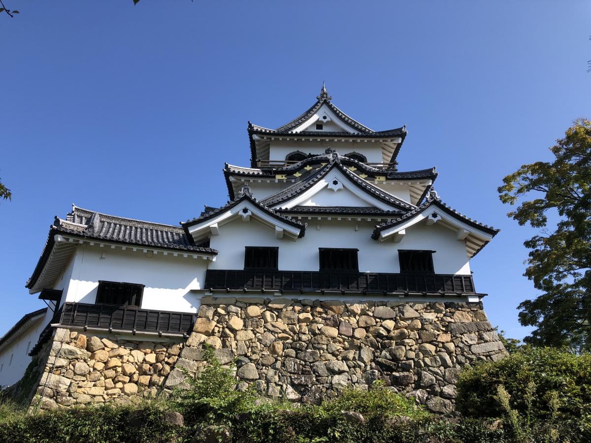 刀剣ワールド 城 彦根城 金亀城 のコメント一覧 1ページ