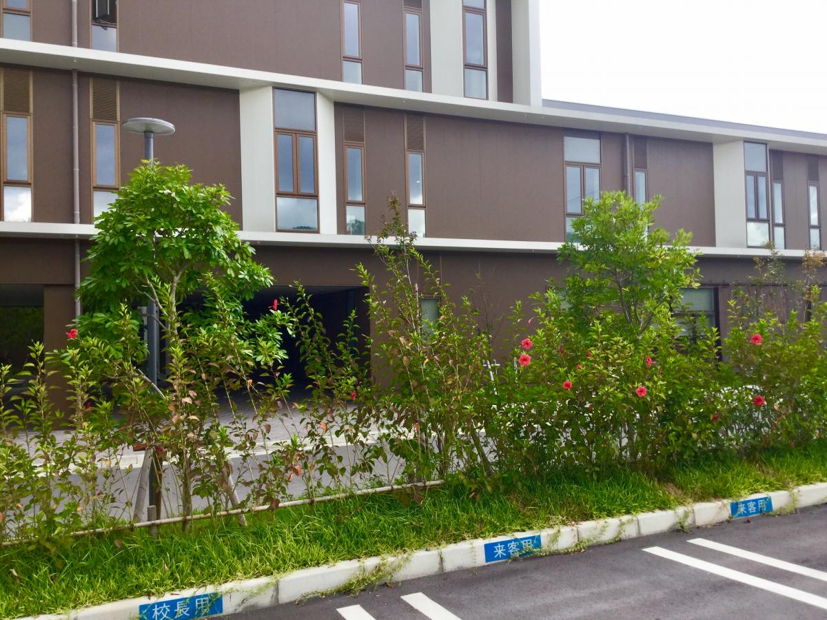 スタディピア 昭和薬科大学附属高校 浦添市沢岻