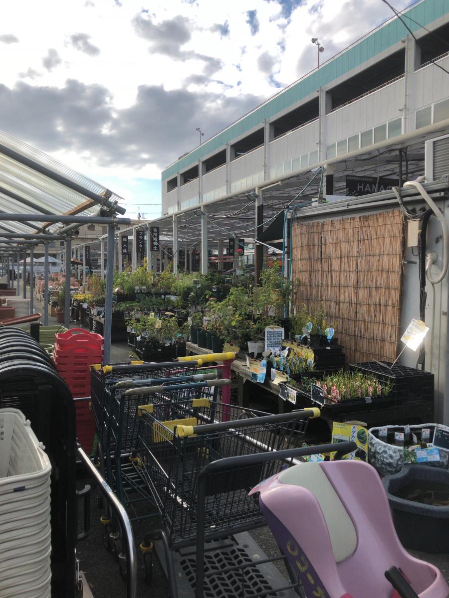 マーケットピア ローソン 東大阪横枕店 東大阪市 周辺施設 口コミ 写真 動画