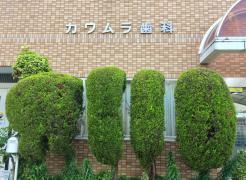 ドクターマップ 石田診療所 松原市別所