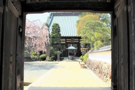 旅探 たびたん 小田原市の神社 寺 教会ランキング