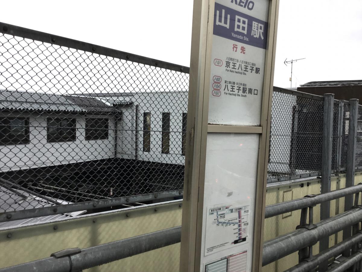 接骨ネット ふじもり桜花整骨院 八王子市 周辺施設 口コミ 写真 動画