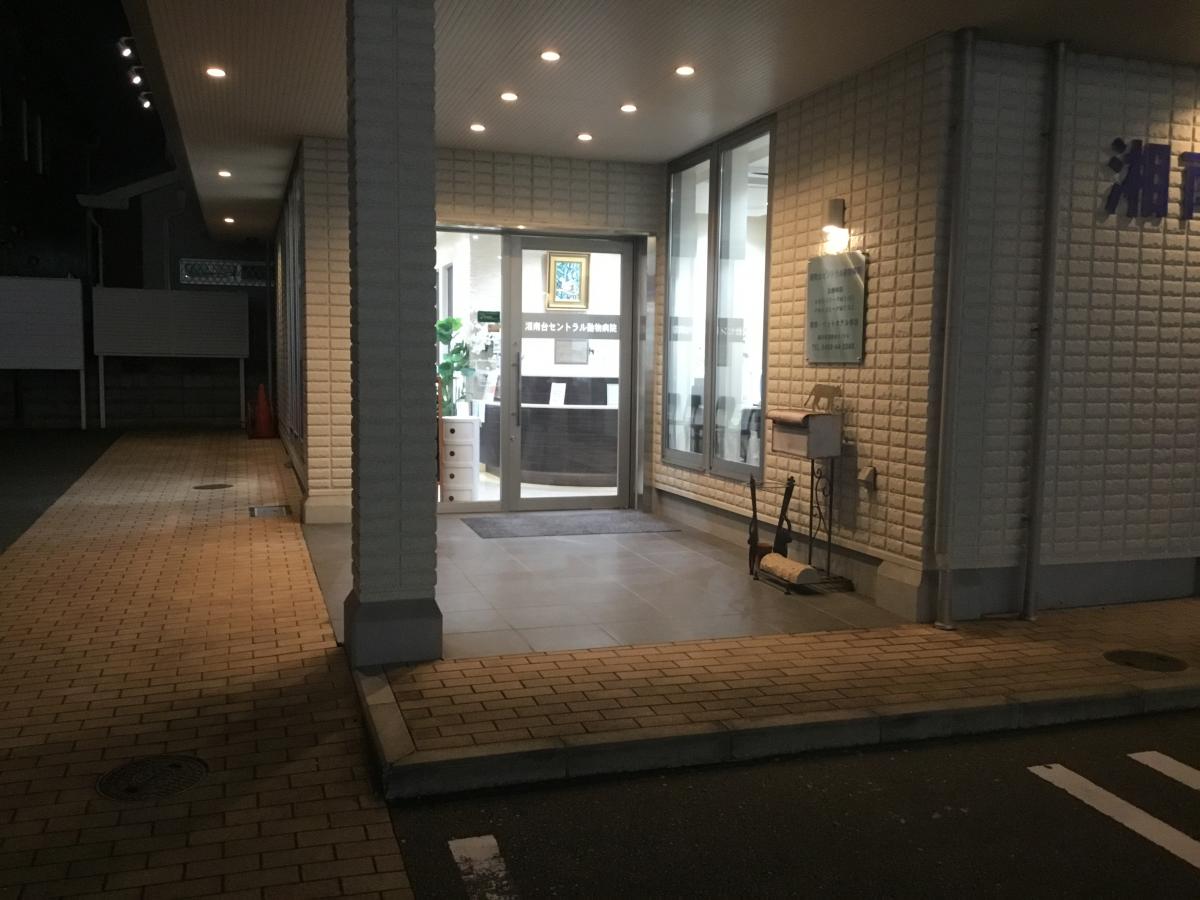 ドッグメディカル 湘南台セントラル動物病院 藤沢市湘南台