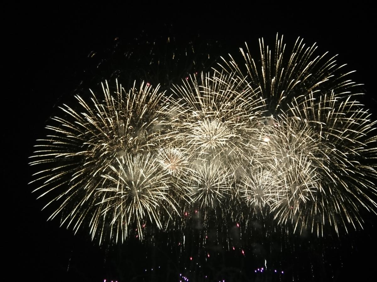 旅探 たびたん 江津湖花火大会 熊本市東区広木町