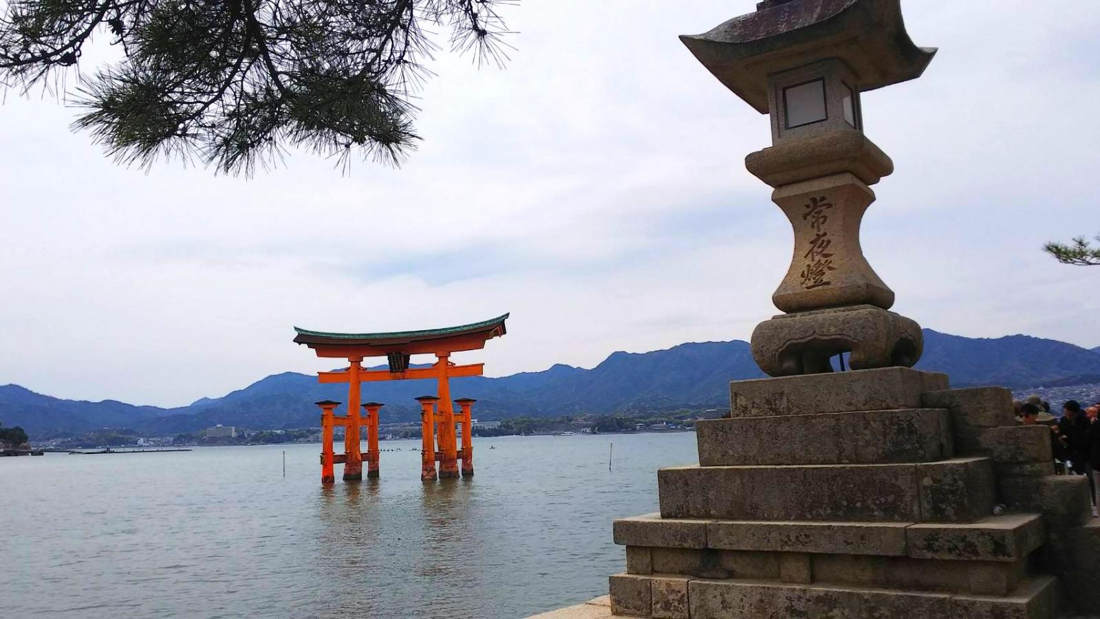 旅探 たびたん 厳島神社のコメント一覧 1ページ