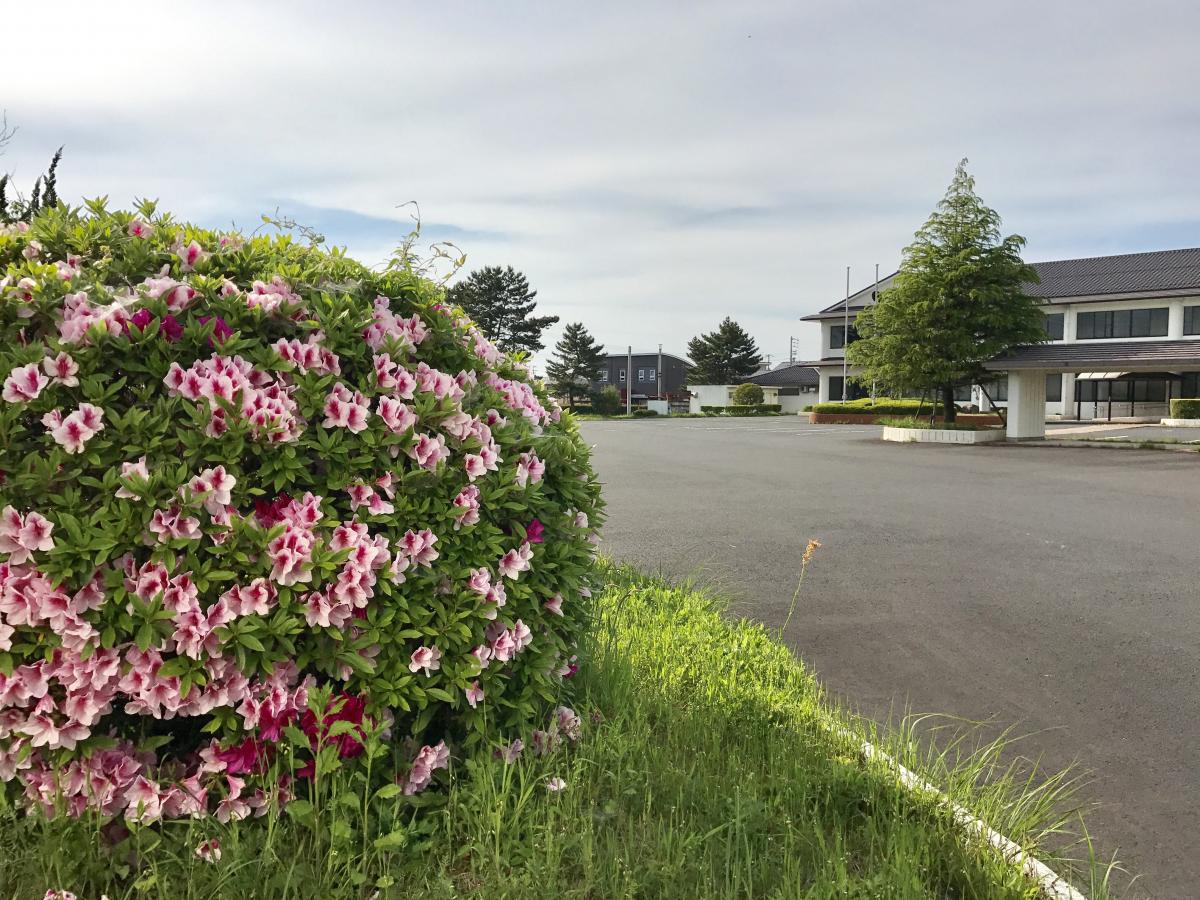 パブリネット 出雲保健所 出雲市塩冶町