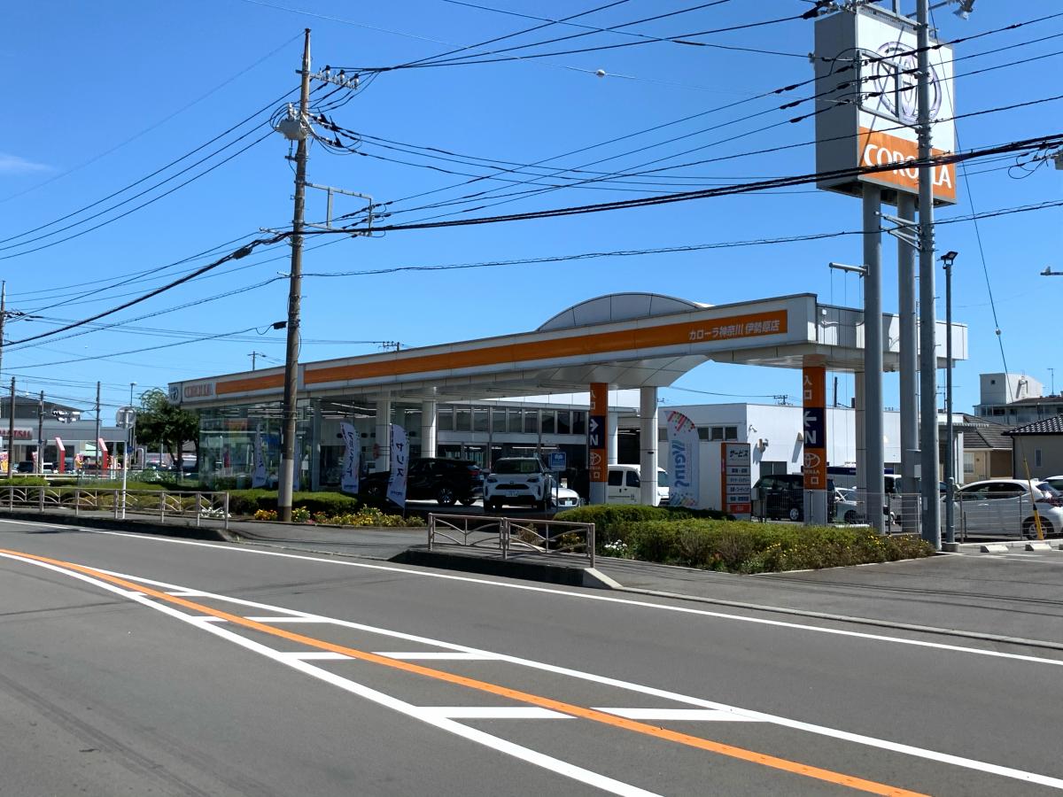 スタディピア 伊勢原八雲幼稚園 伊勢原市 周辺施設 口コミ 写真 動画