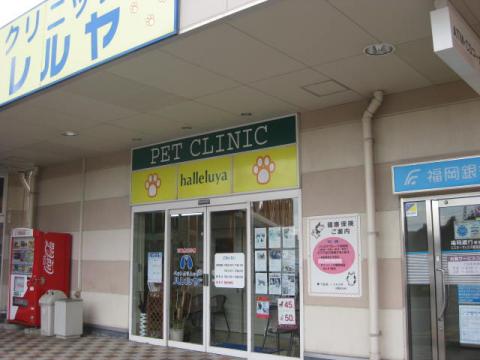 ドッグメディカル ペットクリニックハレルヤ新宮病院 糟屋郡新宮町上府