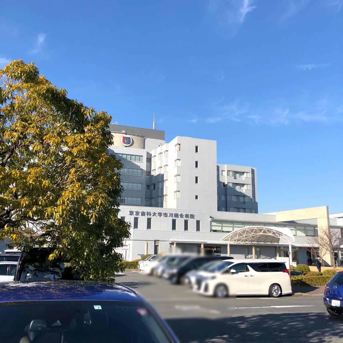 東京歯科大学市川総合病院:投稿ユーザー写真集/ホームメイト 東京歯科大学市川総合病院:投稿ユーザー写真集/ホームメイト