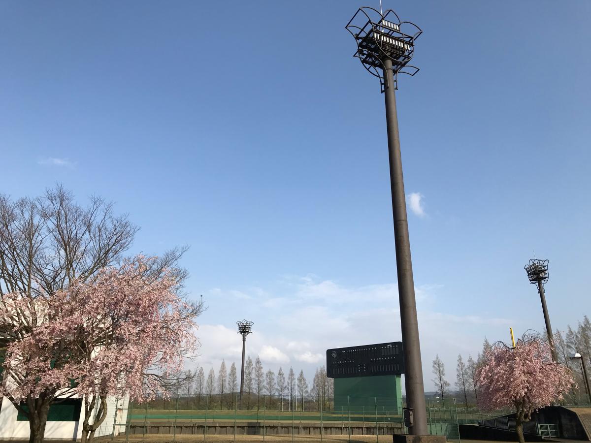 スポランド 砺波総合運動公園砺波市野球場 砺波市柳瀬