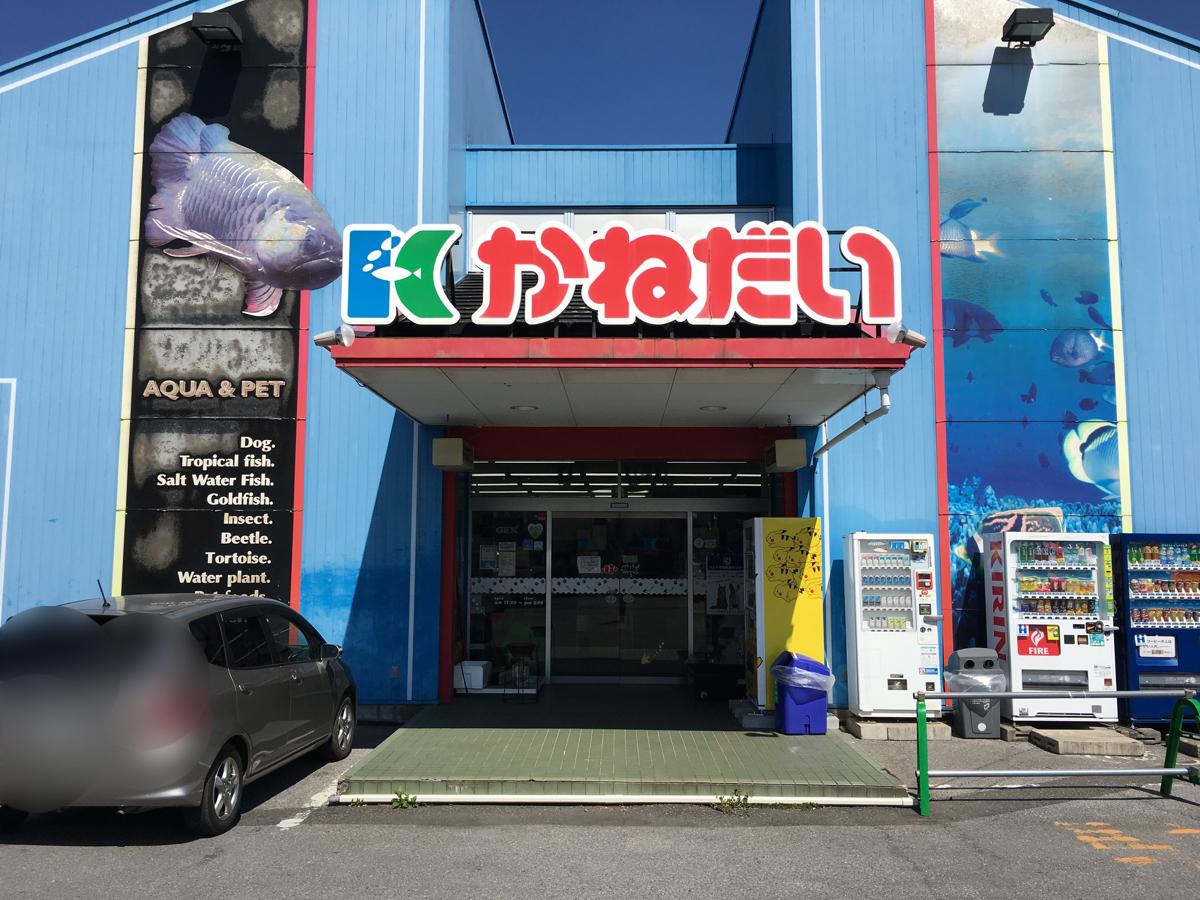 当時のメディア報道・掲載写真