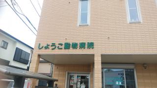 マーケットピア アクア ペットかねだい 草加店 草加市花栗