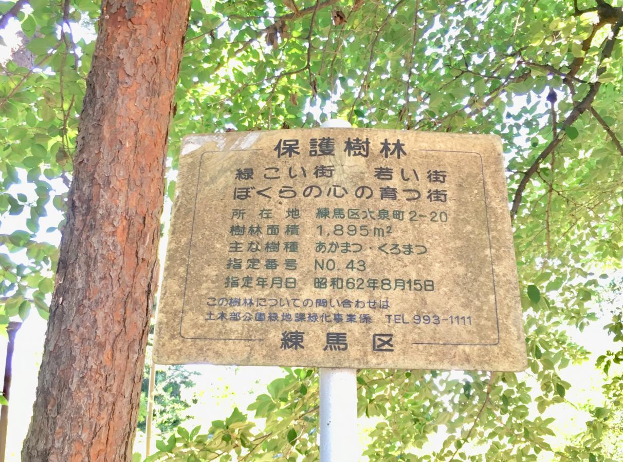 パブリネット あかまつ緑地 練馬区