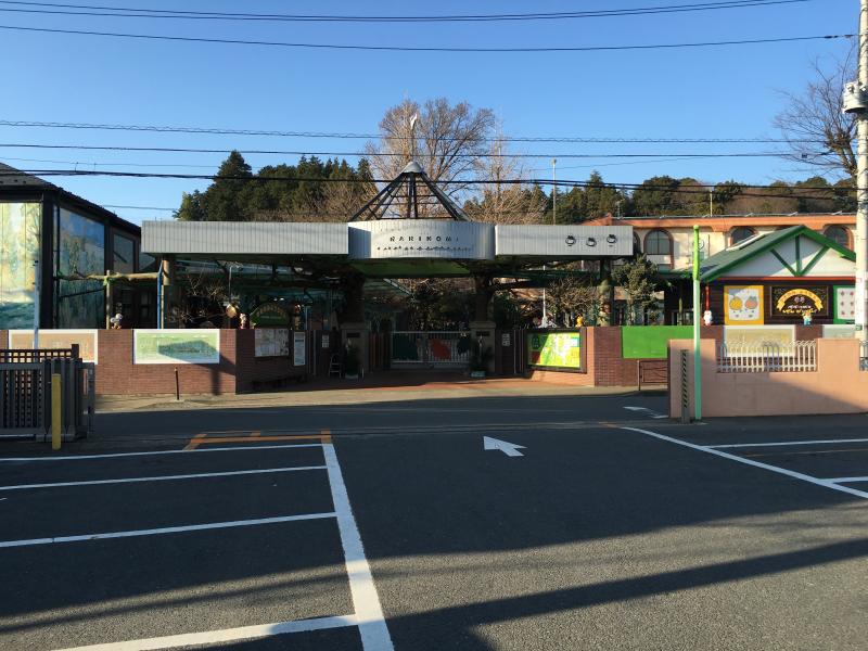 スタディピア 柿の実幼稚園 川崎市麻生区上麻生