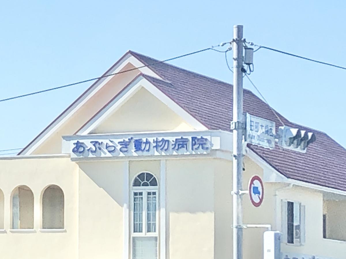 ドッグメディカル あぶらぎ動物病院 福岡県福岡市西区 スライドフォト