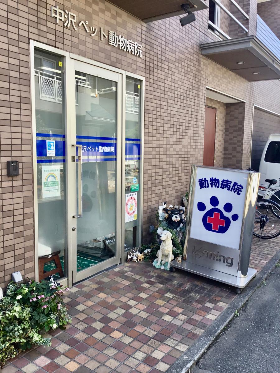 ドッグメディカル 中沢ペット動物病院