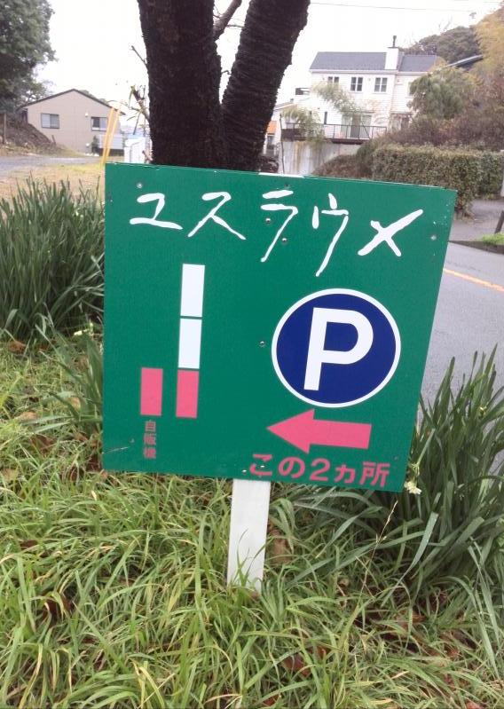 ユキサキナビ 鎌倉山 バス停留所 鎌倉市 周辺施設 口コミ 写真 動画