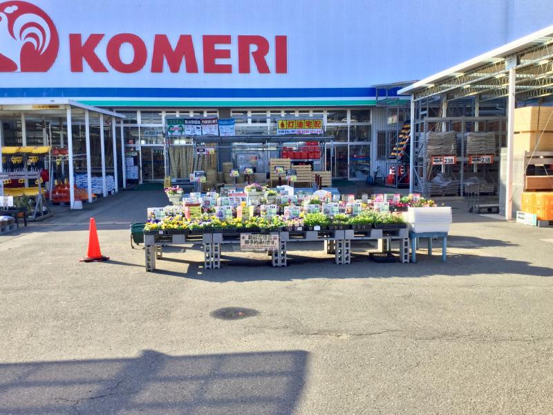 マーケットピア コメリハード グリーン 泉店