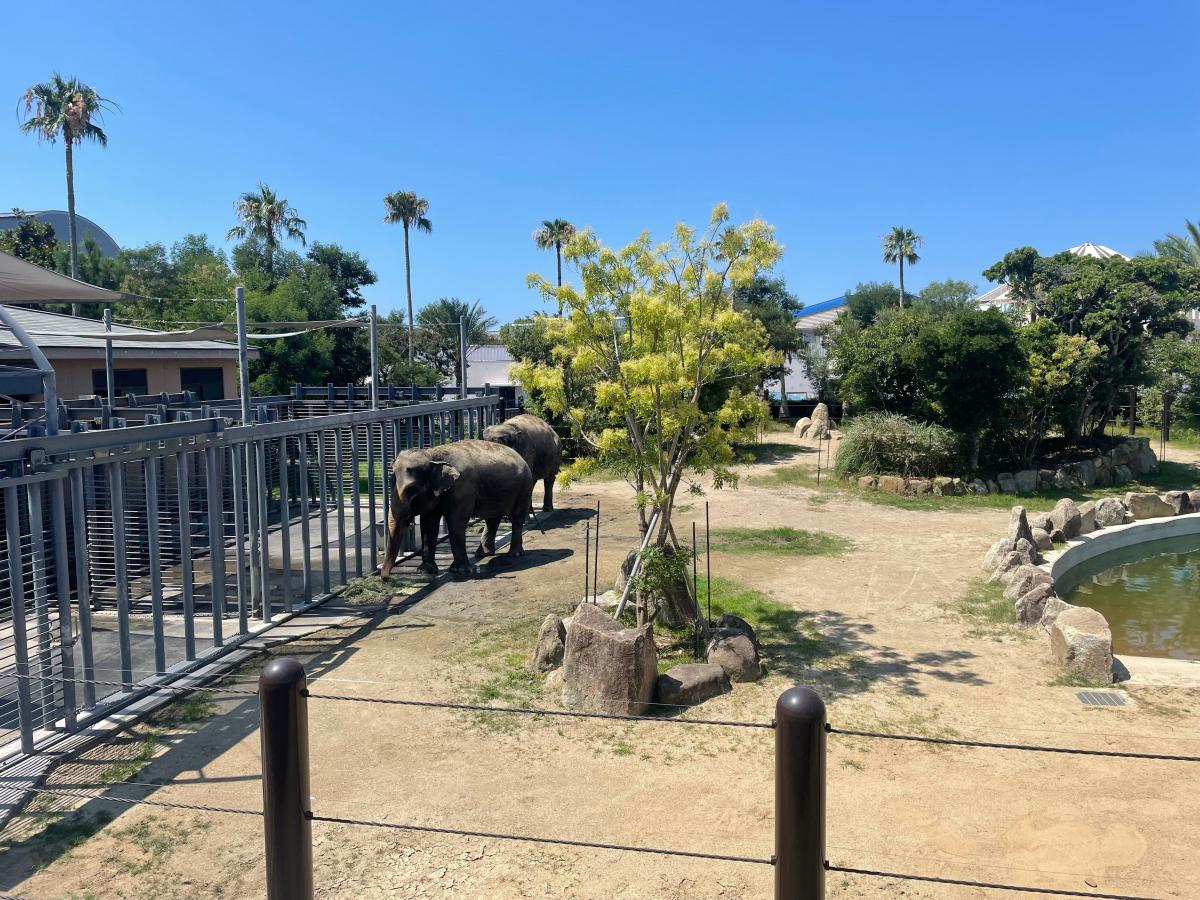 旅探 たびたん アドベンチャーワールド