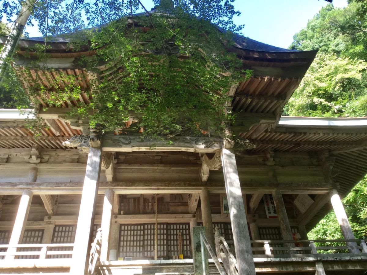 旅探 たびたん 金剛院 舞鶴市鹿原