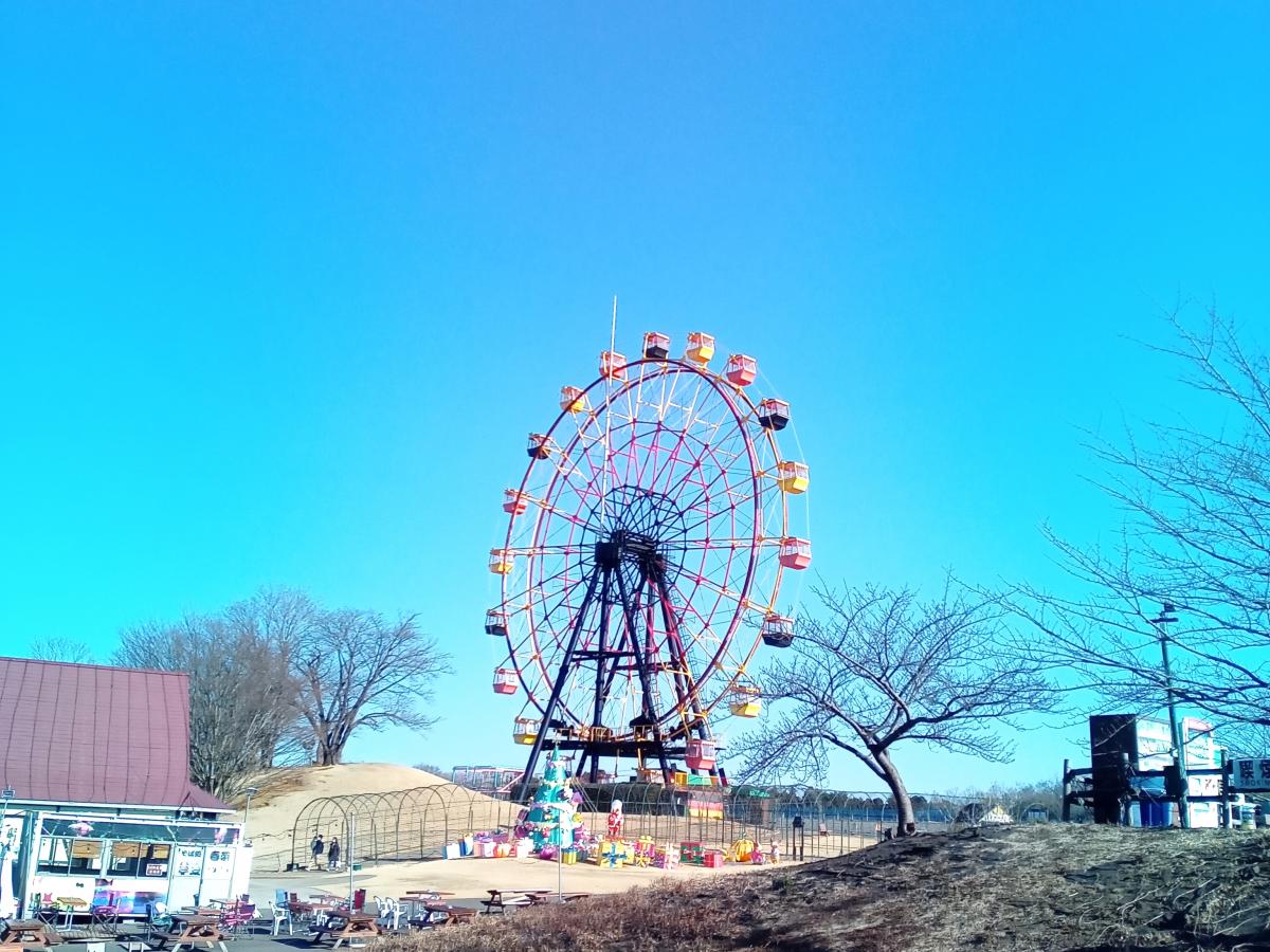 旅探 たびたん 東京ドイツ村