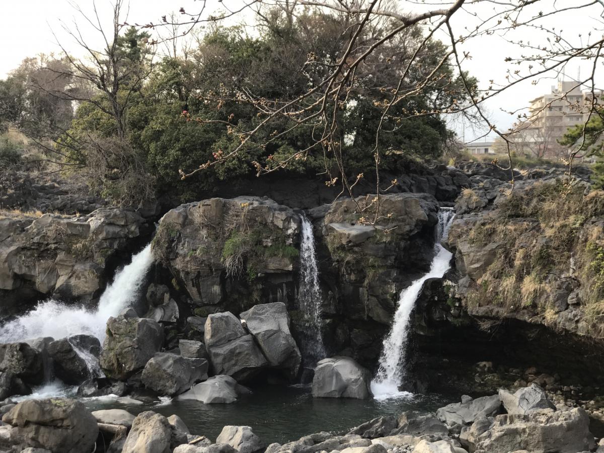 パブリネット 鮎壺の滝緑地 沼津市 の投稿写真一覧