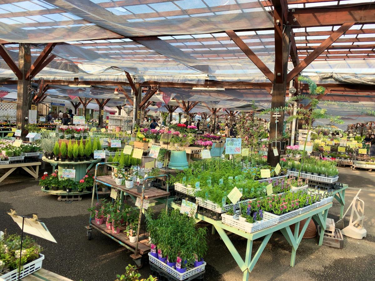 マーケットピア 花ひろば