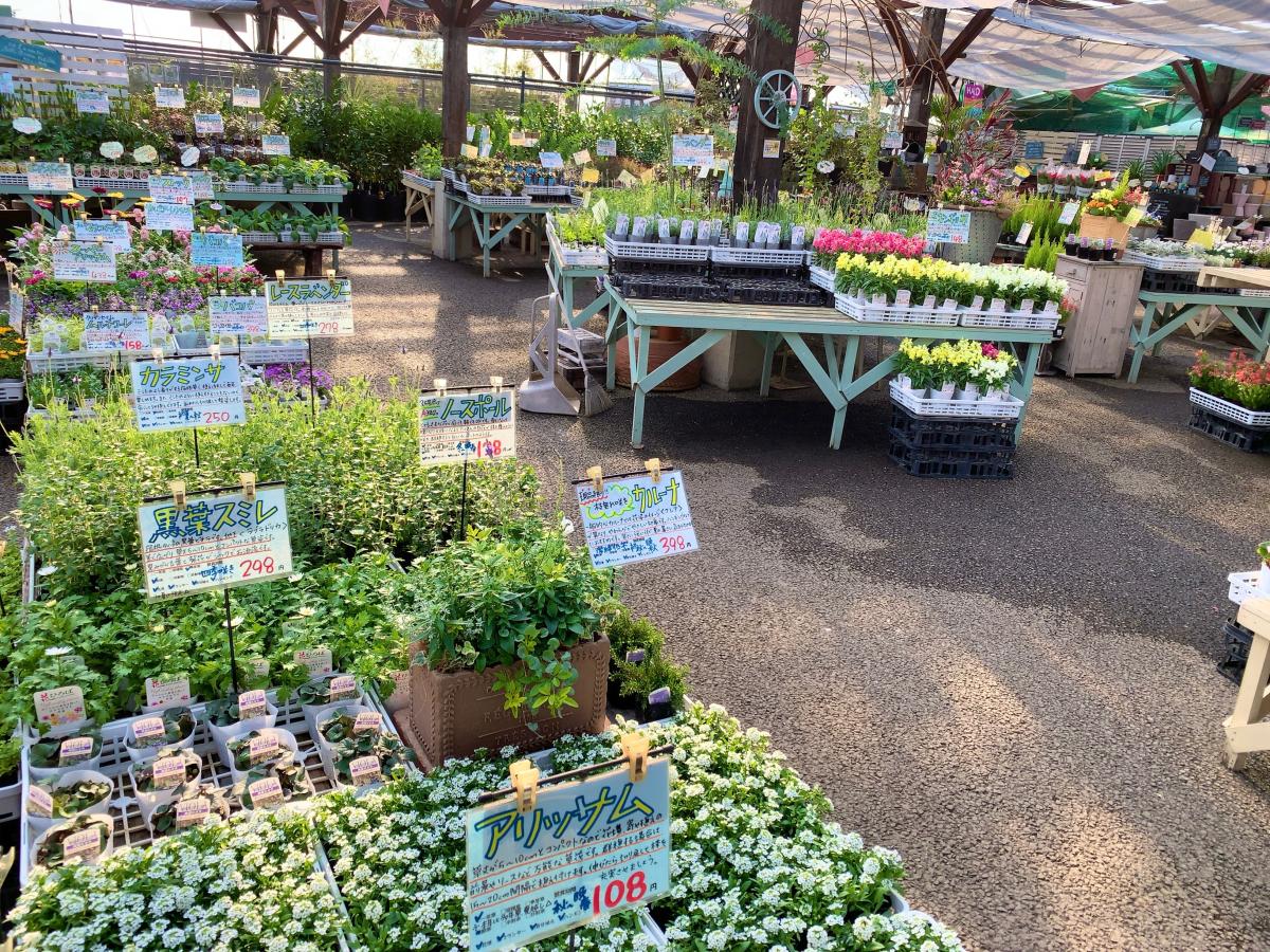 マーケットピア 花ひろば
