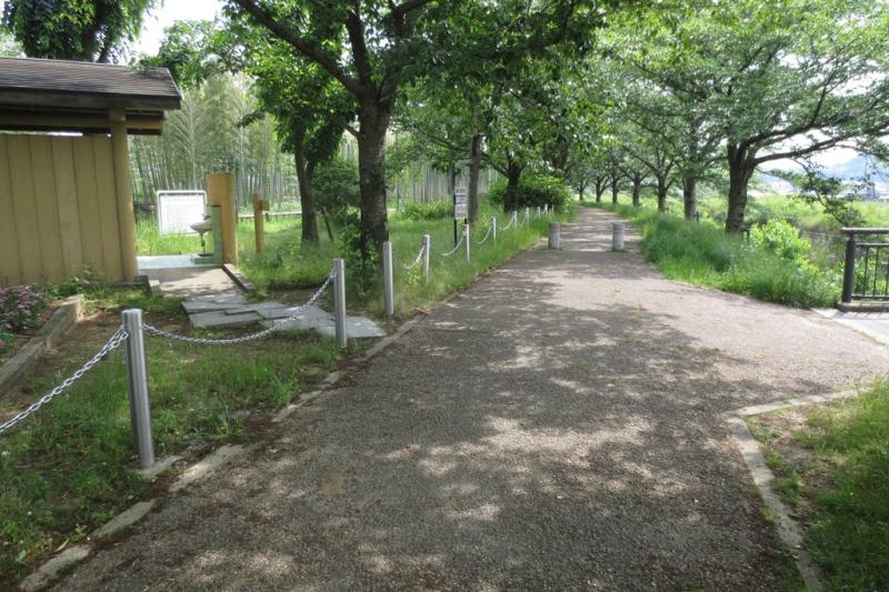 パブリネット ふれあい広場 木津川市 の投稿写真一覧